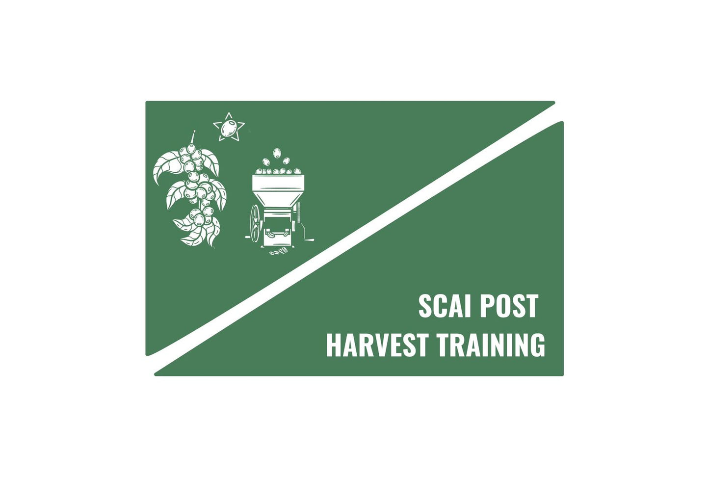 SCAI POST HARVEST PROCESSING TRAINING